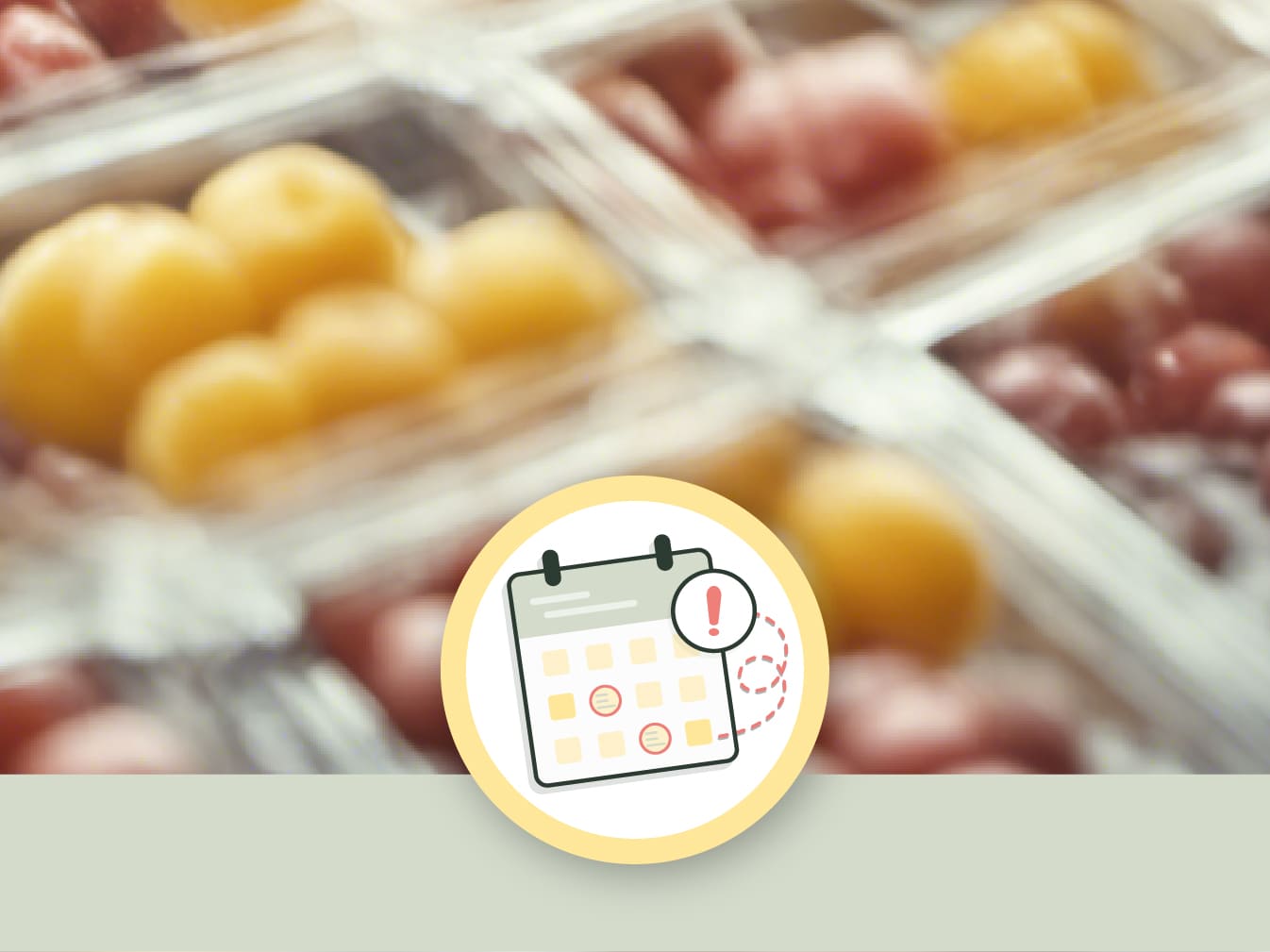 Plastic Packaging for Food and the Science of Shelf Life featured image