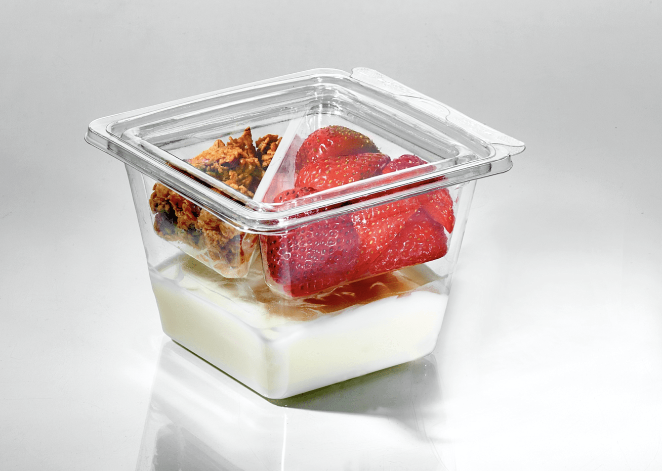 Insert, 2 Compartment for Small Bowls
