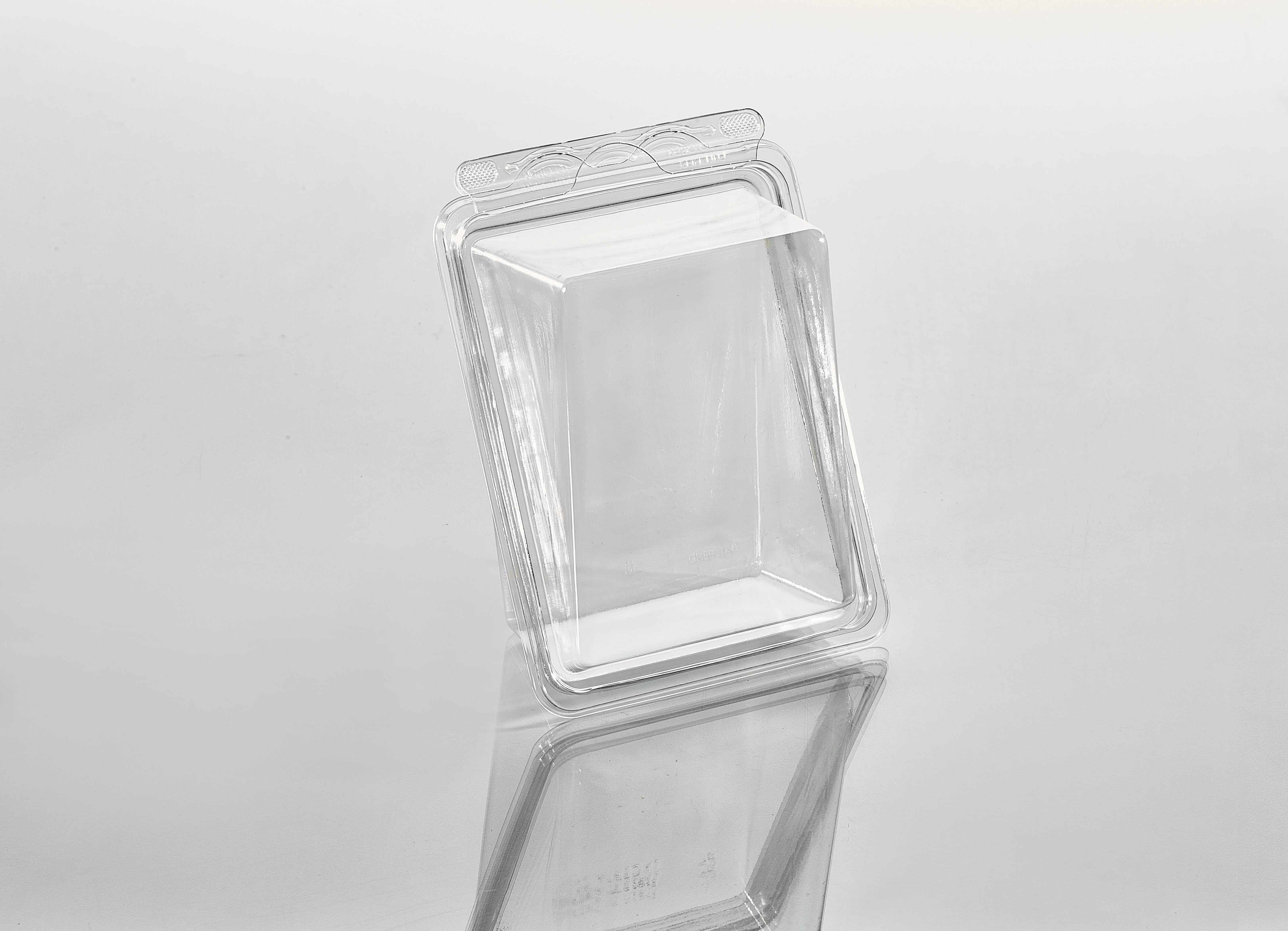 Standing Cut Sandwich Container | T23960