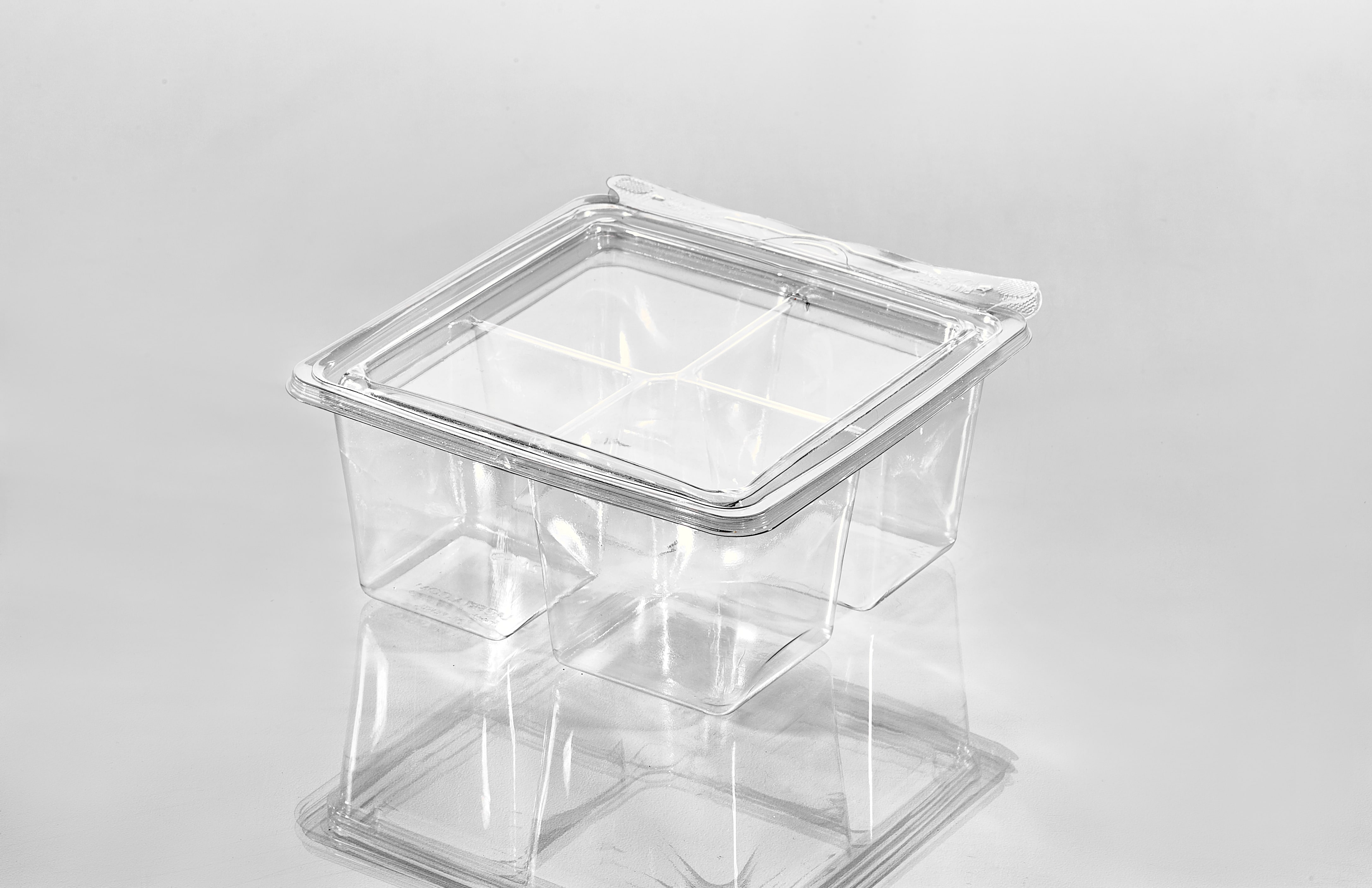 4 Compartment Snack Cube