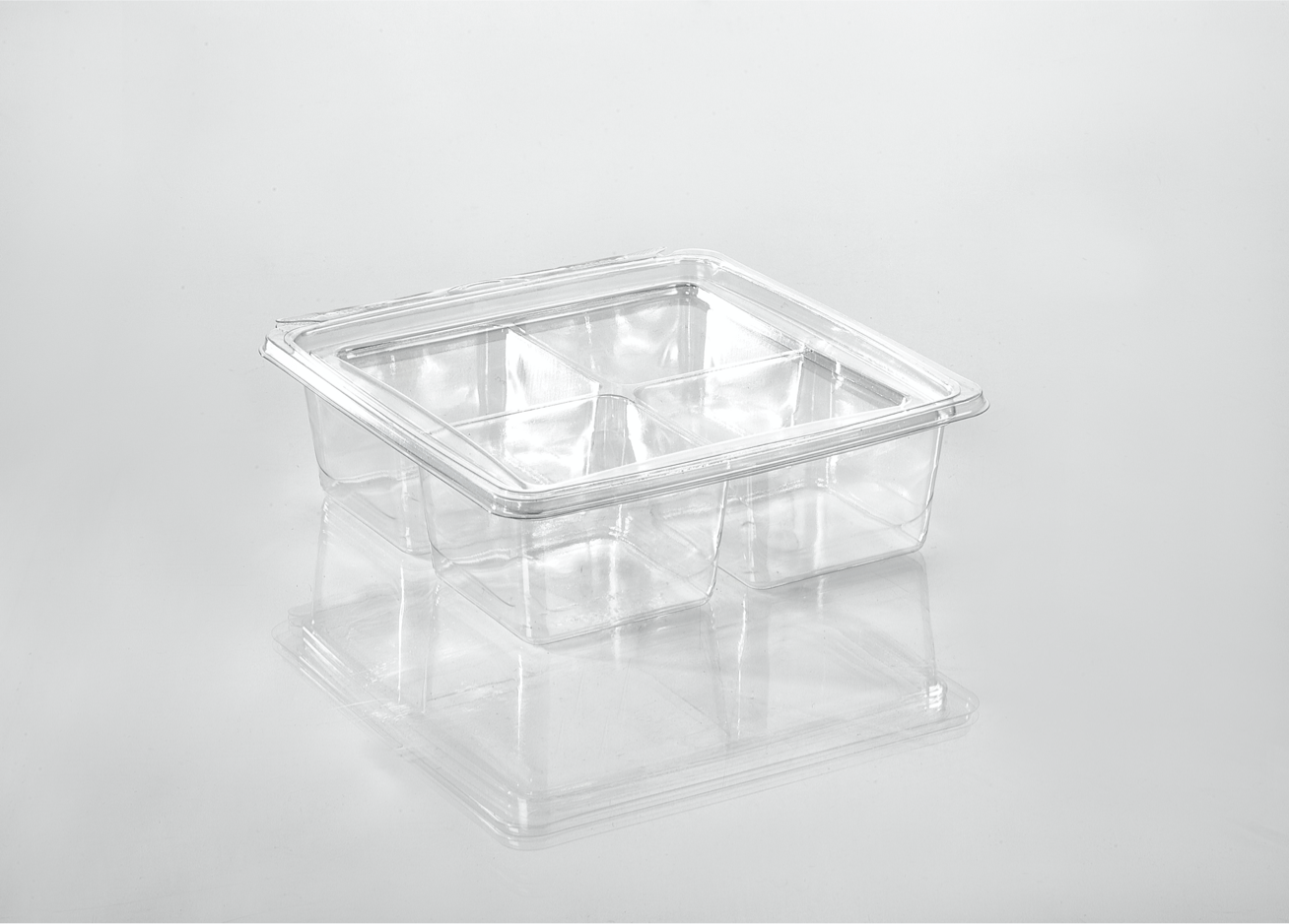 4 Compartment Shallow Snack Cube | T28025