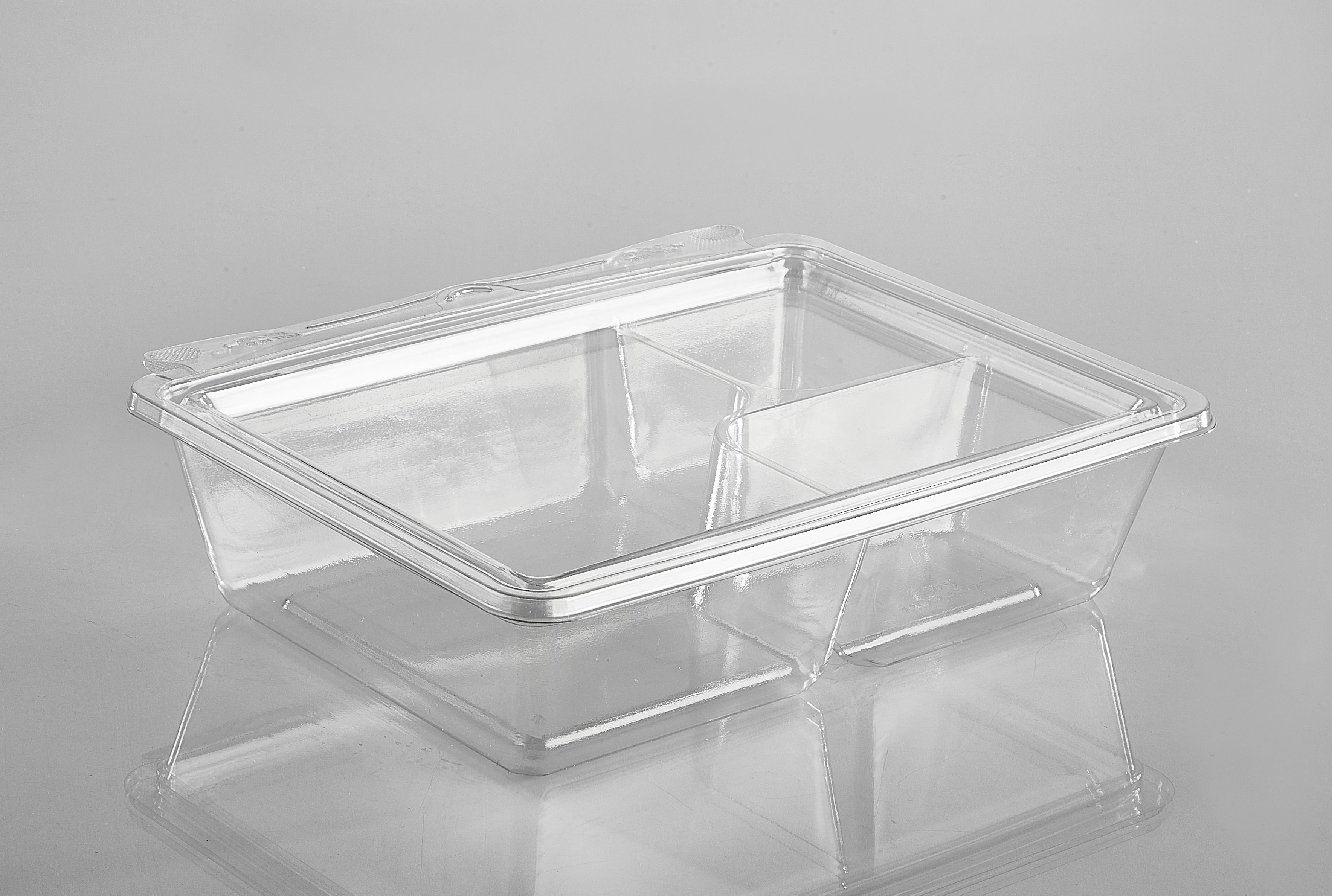 3 Compartment Container | T29557